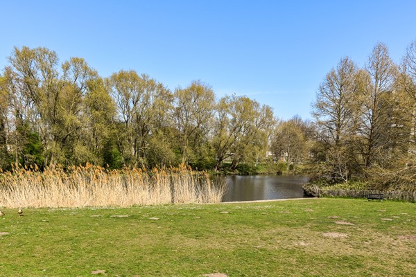Medium property photo - Vorselaarstraat 38, 1066 NN Amsterdam